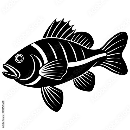 illustration of a fish