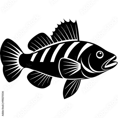 black and white fish