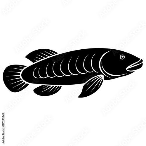 fish isolated on white