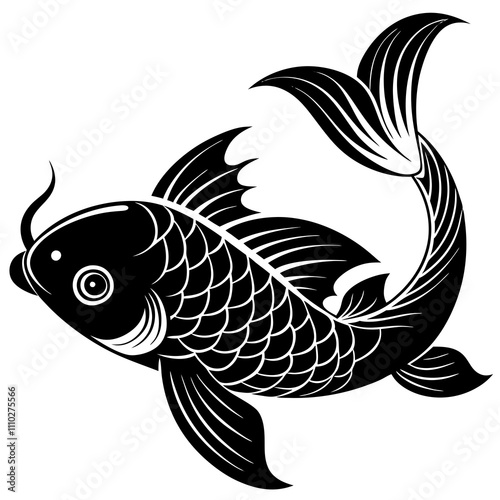 fish on a white background