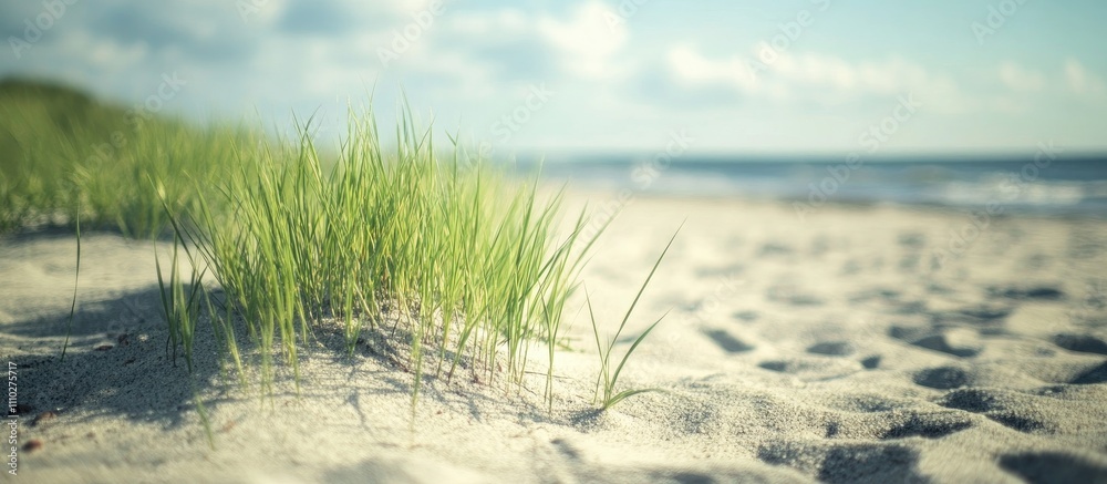 Lush Green Grass Growing on Sandy Beach with Calm Ocean Waves and Blue Sky in the Background Lush Green Grass Growing on Sandy Beach with Calm Ocean Waves and Blue Sky in the Background