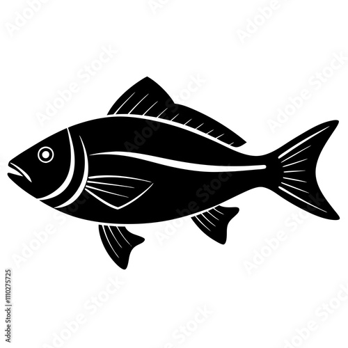 fish on a white background