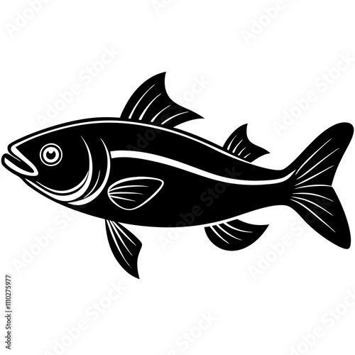 fish isolated on white