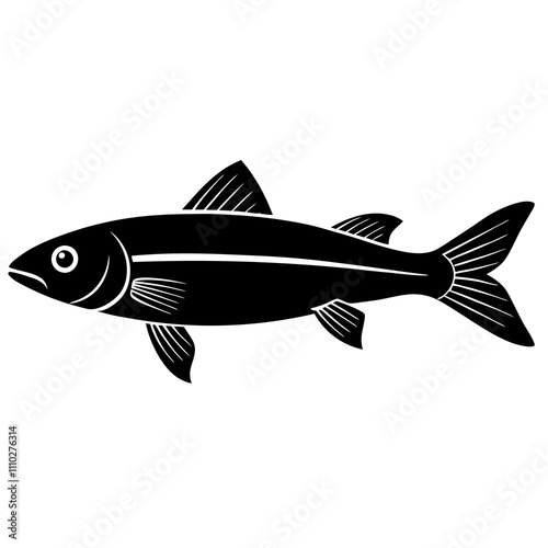 fish isolated on white