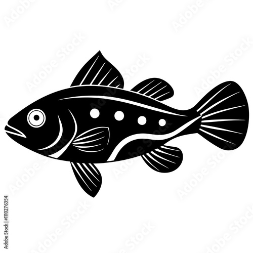 illustration of a fish