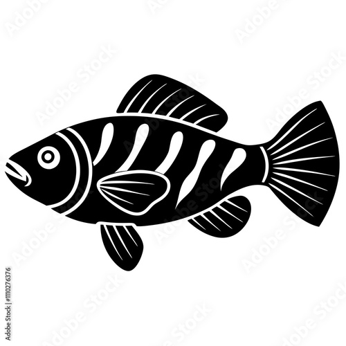 fish on white background