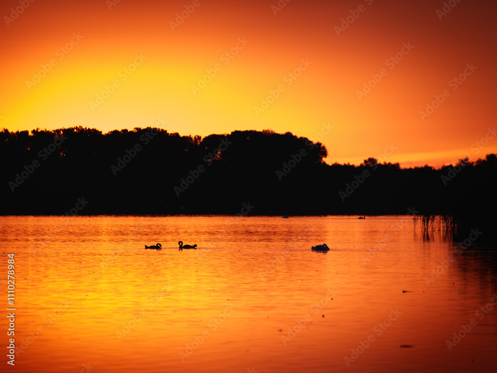 Sunrise in the Danube Delta Sunrise in the Danube Delta