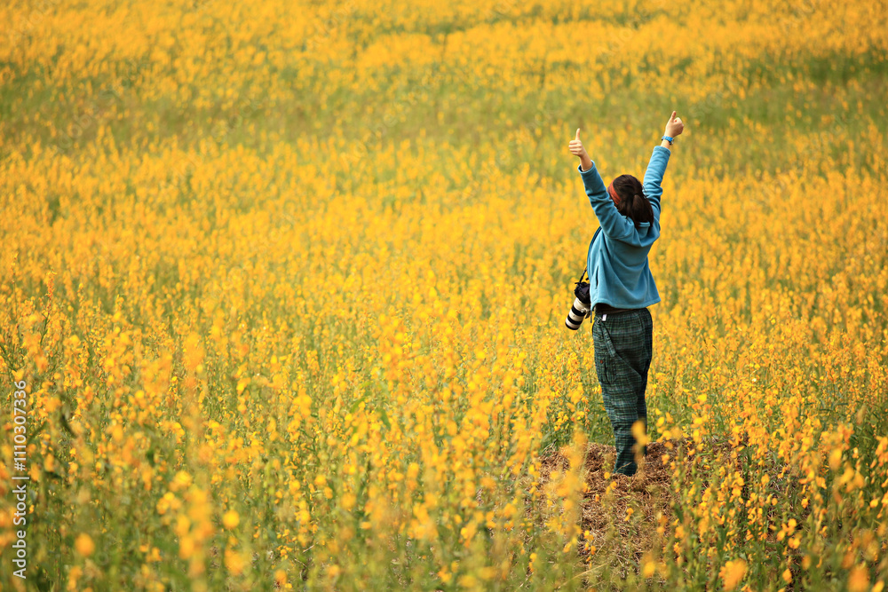 Scenery of sunn hemp field (crotalaria juncea or indian hemp) at Pai District in Mae Hong Son province, Thailand Scenery of sunn hemp field (crotalaria juncea or indian hemp) at Pai District in Mae Hong Son province, Thailand