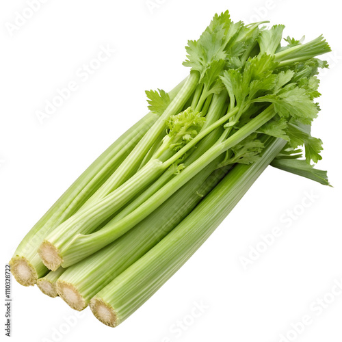 A bunch of celery stalks isolated on a transparent background