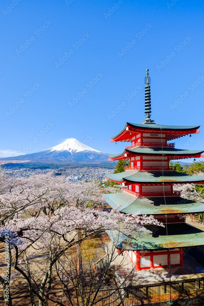 新倉山浅間公園 春の富士山 新倉山浅間公園 春の富士山