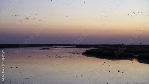 Aerial photo of the ecological wetland of the estuary of the Yellow River in Dongying, China