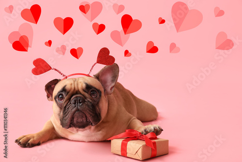 Cute French bulldog in hairband with hearts and gift box on pink background. Valentine's Day celebration