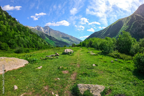 Picturesque meadow high in the mountains in sunny weather. Caucasus