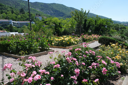 Il Roseto del Parco di San Giovanni a Trieste, Friuli-Venezia Giulia, Italia.