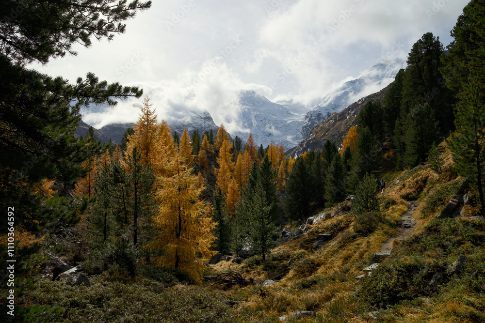 Valley of Morteratsch (Pontresina, Engadin) with the Morteratsch glacier in the background Valley of Morteratsch (Pontresina, Engadin) with the Morteratsch glacier in the background