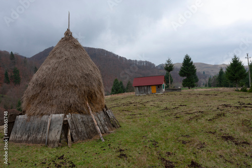 Traditional rural scene in Maramures with haystack and cabin