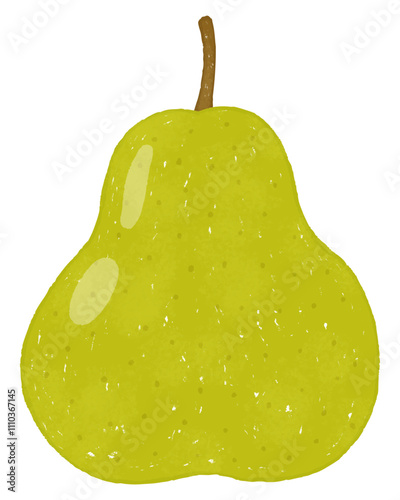 洋梨の正面イラスト1