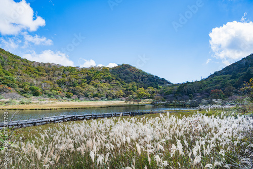 群馬　覚満淵（前橋市） photo