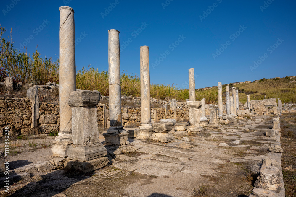 Fototapeta premium Rows of columns in Perge, Antalya, Turkey. Remains of colonnaded street in Pamphylian ancient city.Rows of columns in Perge, Antalya, Turkey. Ancient Kestros Fountain. Aksu, Antalya