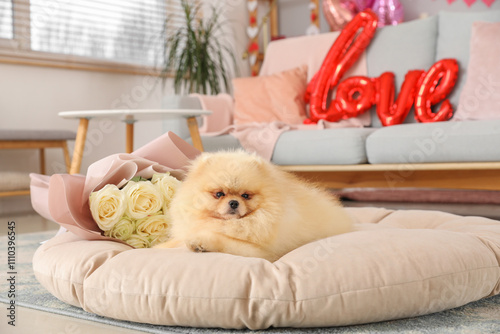 Cute Pomeranian dog with bo...