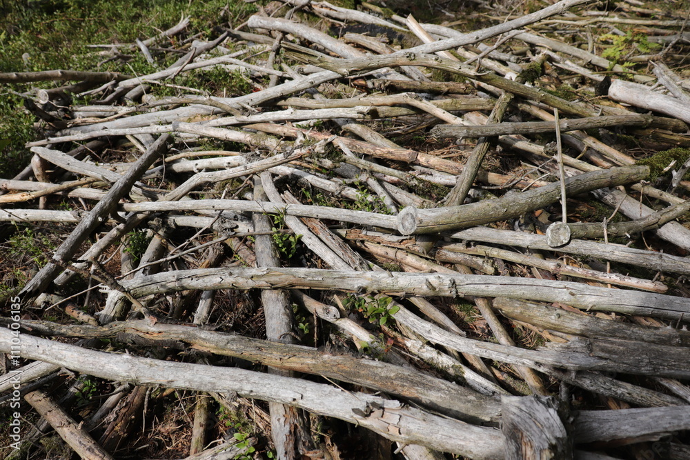 altes Treibholz durcheinander auf einem Haufen altes Treibholz durcheinander auf einem Haufen