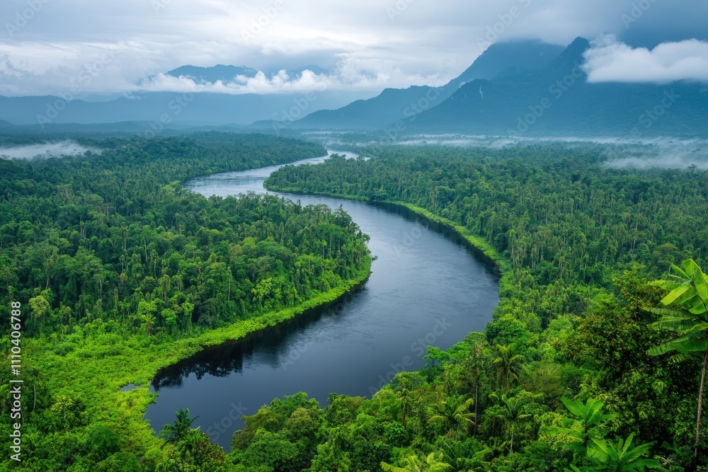Obraz premium Lush rainforest river winding through green trees and mountains