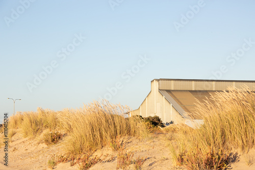old industrial building at the port obscured in sand dunes