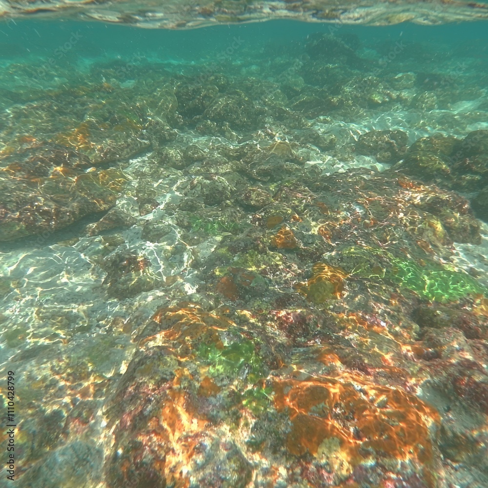 Fototapeta premium Underwater scene of vibrant coral reef and rocks.