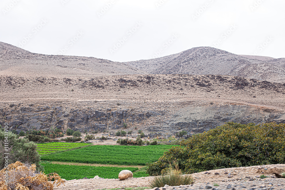 Southern Morocco's Vibrant Oasis and Rugged Hills