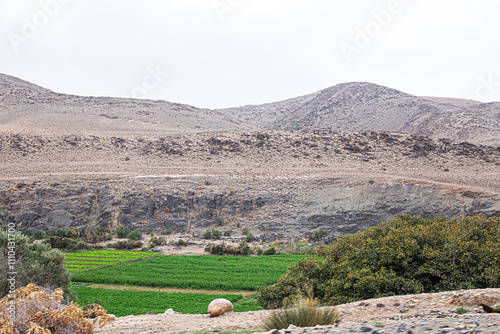 Obraz na płótnie Southern Morocco's Vibrant Oasis and Rugged Hills w salonie