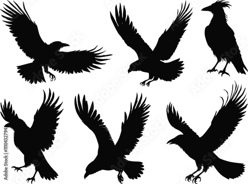 set of six raven silhouettes isolated on white background