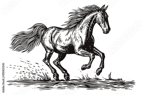 horse running prancing engraving black and white outline