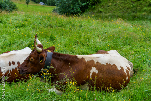 Wandern in den österreichischen Alpen photo