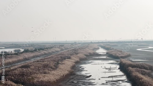 morning in the morning