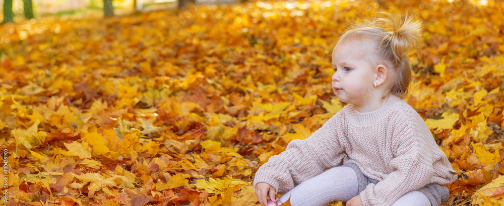little girl in a beautiful autumn park. Golden autumn. little girl in a beautiful autumn park. Golden autumn.