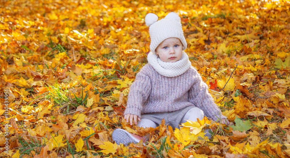 little girl in a beautiful autumn park. Golden autumn. little girl in a beautiful autumn park. Golden autumn.