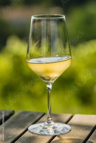 Obraz na płótnie Close-up of a glass of white wine on a wooden table with green vineyards view w salonie