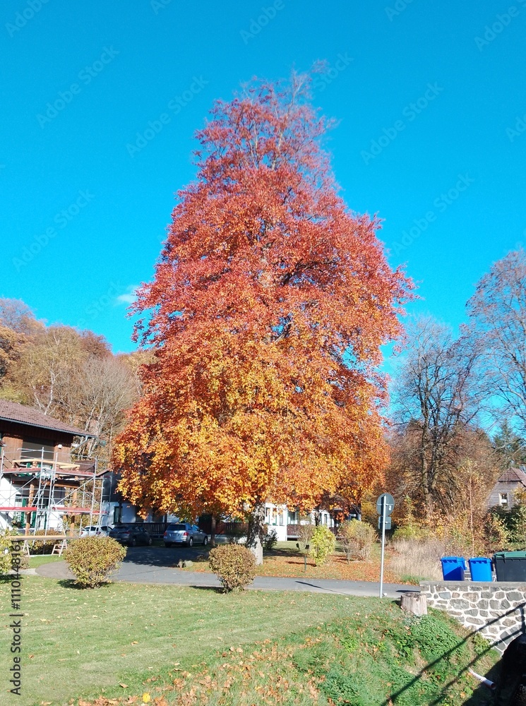 Naklejka premium autumn in the park