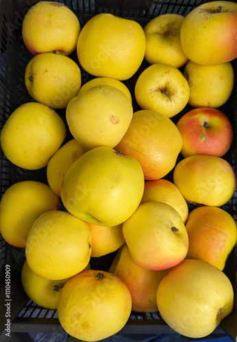 yellow apples on the market