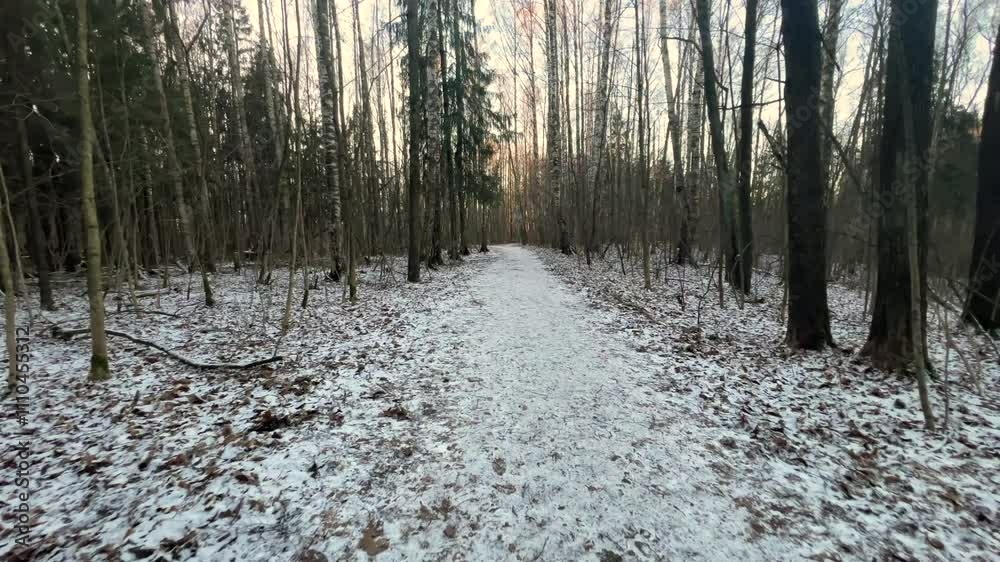 Walking through a winter park at sunset. Walking through a winter park at sunset.
