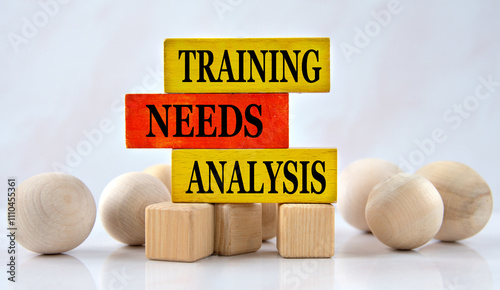 TRAINING NEEDS ANALYSIS - words on a wooden brown block with balls lying next to it on a white background