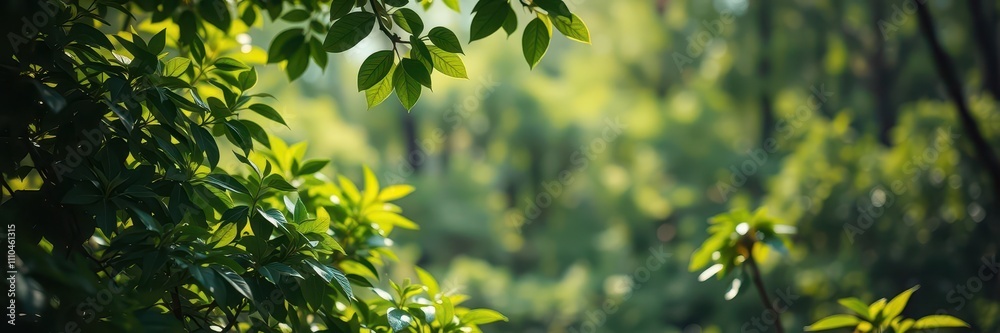 A serene landscape of a lush green forest with gentle sunlight filtering through the leaves, creating a tranquil and peaceful atmosphere, landscape, background, leaves A serene landscape of a lush green forest with gentle sunlight filtering through the leaves, creating a tranquil and peaceful atmosphere, landscape, background, leaves