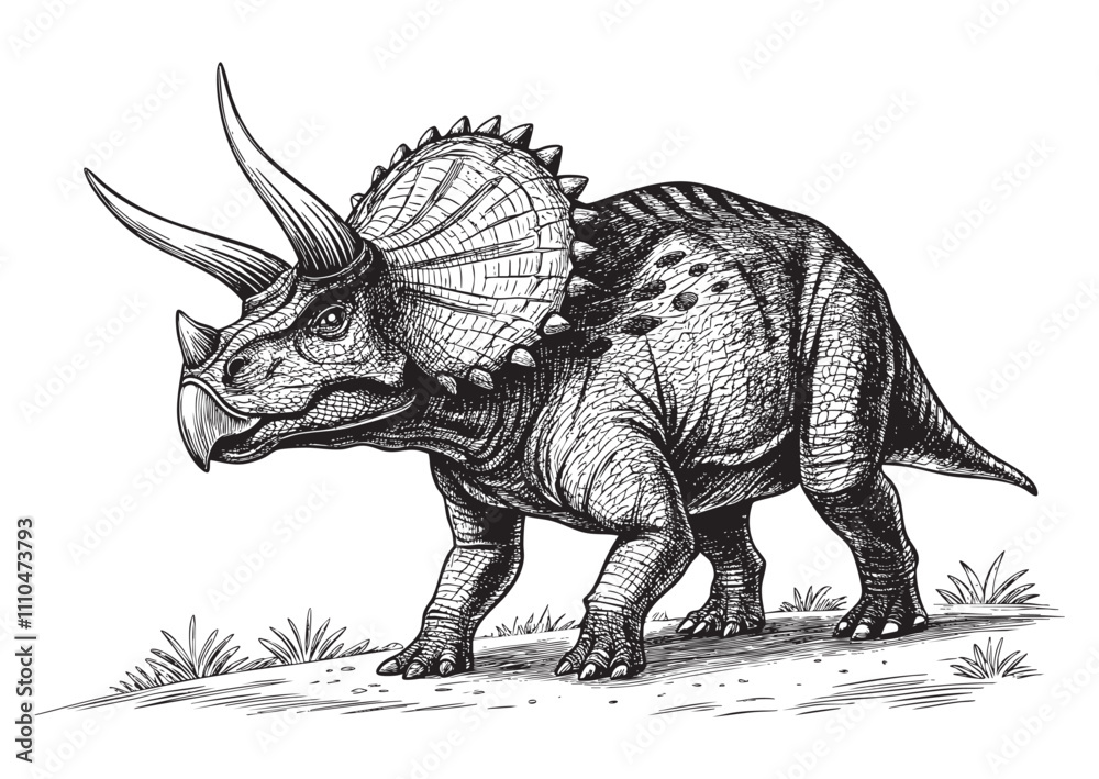 Fototapeta premium Triceratops dinosaur engraving vector illustration