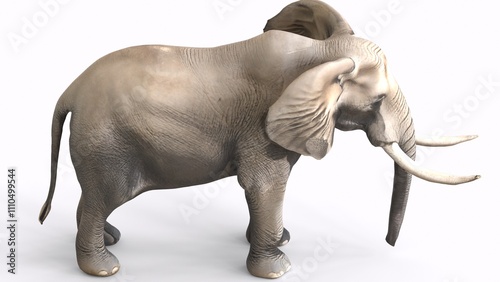 Photography realistic elephant with white background