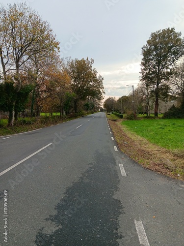 Tramo de la carretera entre Vilalba y Cospeito, Galicia photo