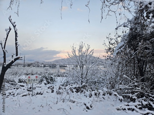a beautiful scenery caused by heavy snow