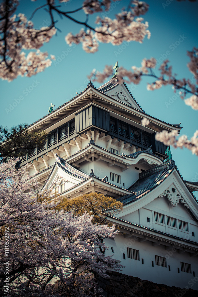 Cherry blossom season in Fukuoka Prefecture, Kyushu, Japan Cherry blossom season in Fukuoka Prefecture, Kyushu, Japan