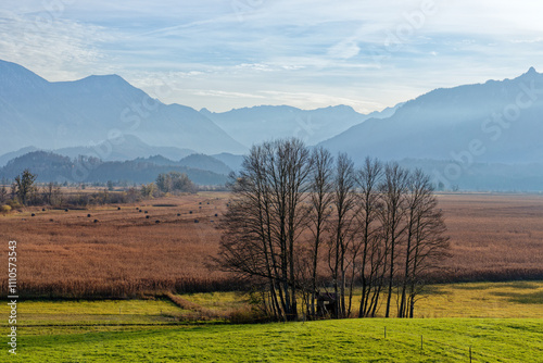 Autumn over the Murnauer Moos with a view of the peaks of the mountains Estergebirge and Wetterstein, Alps, Bavaria, Germany, Europe photo