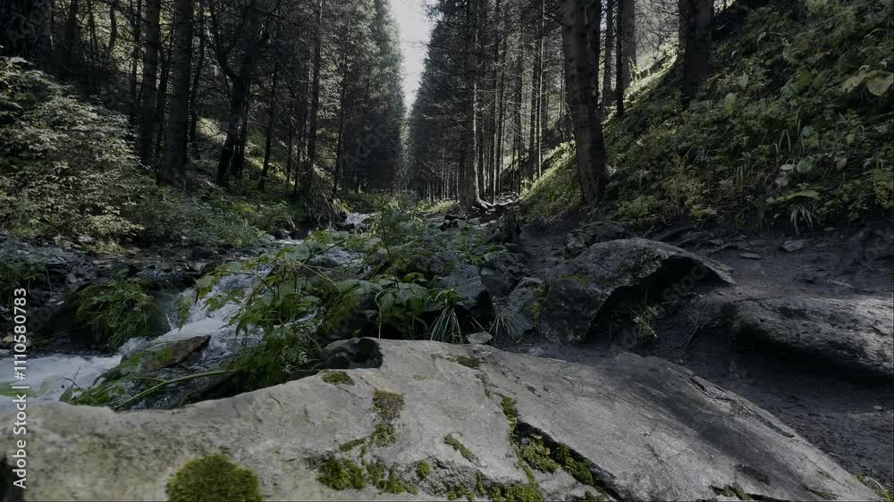 Clean mountain stream flowing through lush forest Clean mountain stream flowing through lush forest