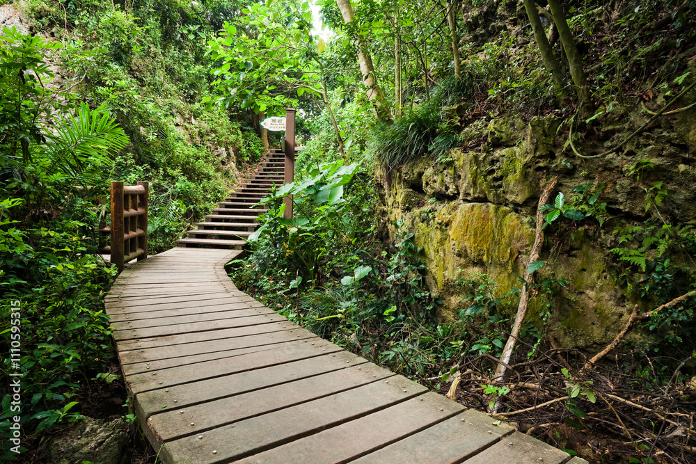 View of the boardwalk paths through the forest of mountains, This is Tzaishan(Shoushan) National Nature Park in Kaohsiung, Taiwan. View of the boardwalk paths through the forest of mountains, This is Tzaishan(Shoushan) National Nature Park in Kaohsiung, Taiwan.